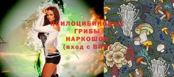 ГАЛЛЮЦИНОГЕННЫЕ ГРИБЫ Магас