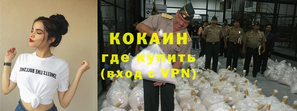 сатива Магадан