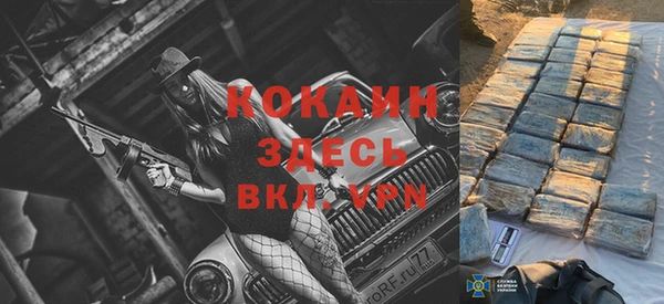 сатива Магадан