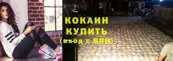 сатива Магадан