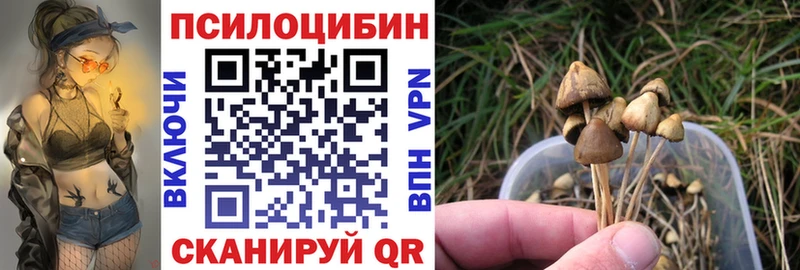 Псилоцибиновые грибы ЛСД  Терек 